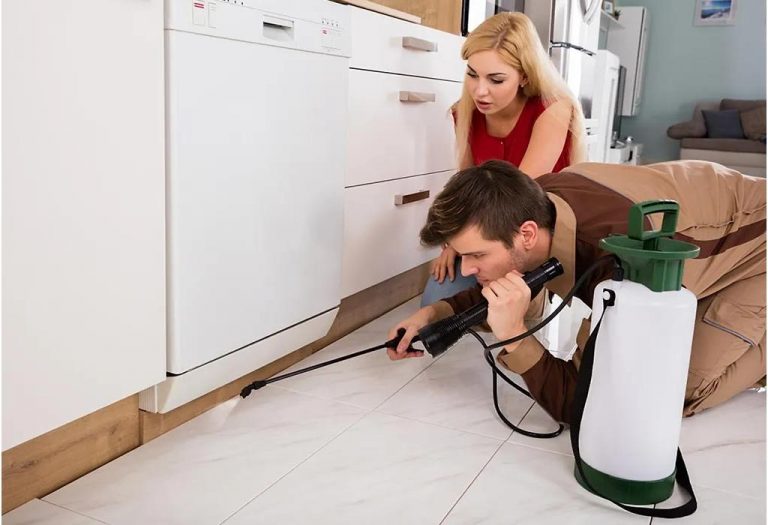 Having Pest Control during Pregnancy - Is It Harmful?