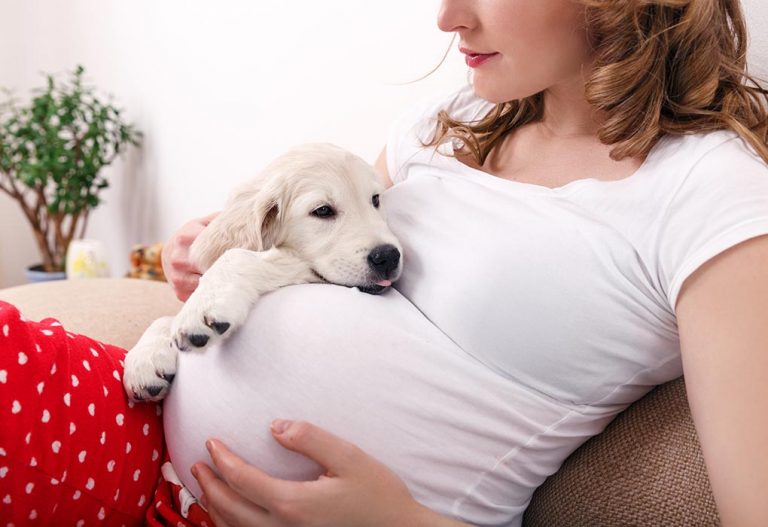Keeping Pets in Pregnancy - Is It Safe?
