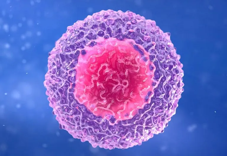 Low Lymphocytes during Pregnancy