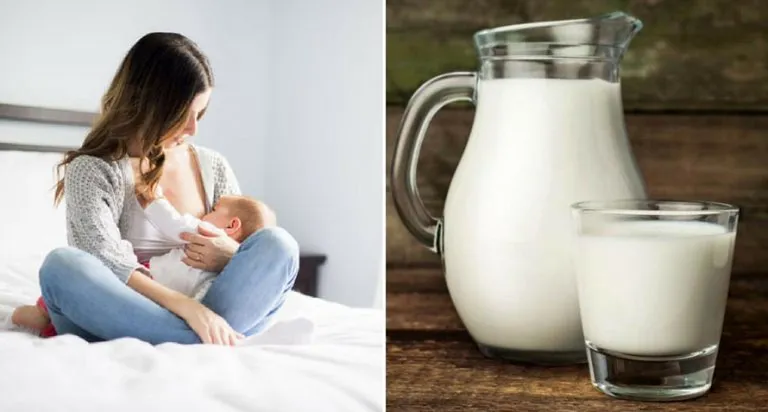 Comparing the Goodness of Human Milk and Cow's Milk For Babies