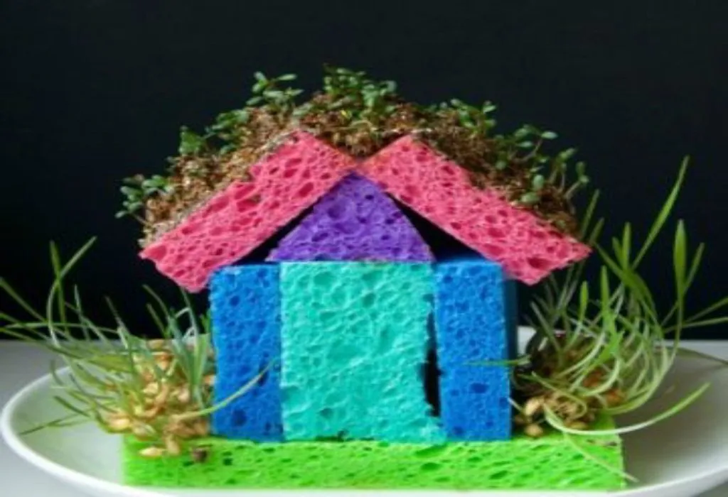 DIY Grass House
