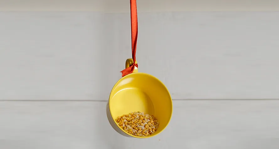 DIY Teacup Bird Feeder