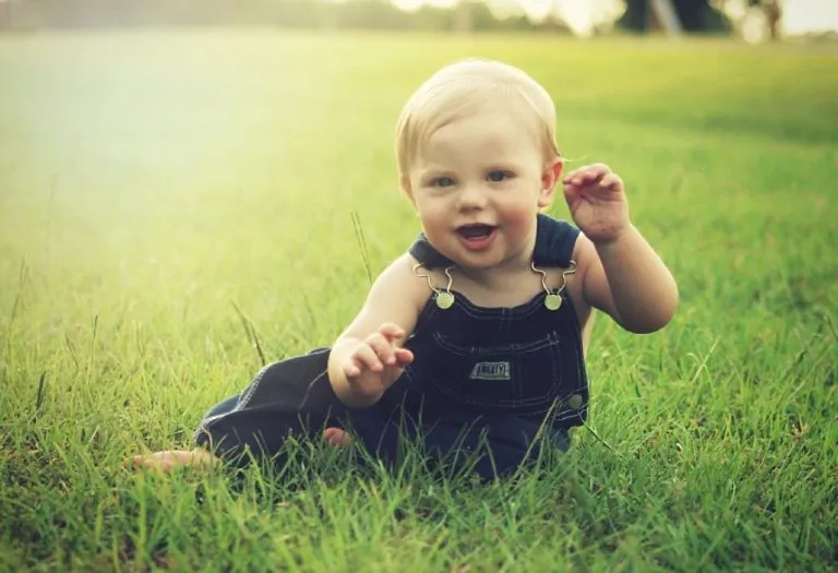 Developmental Milestone: Understanding Words, Behaviour and Concepts