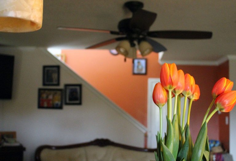 Flower Power! 8 Decor Ideas That Need No Vase