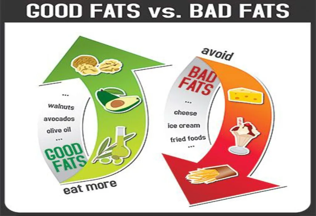 The Basics of Good Fat and Bad Fat