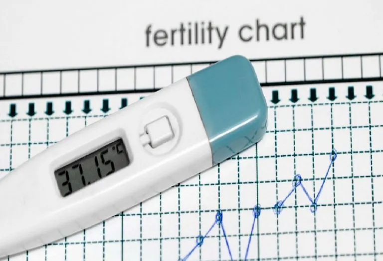 You Need to Know THIS to Maximise Your Chances of Conception + 4 Ways to Prevent Infertility