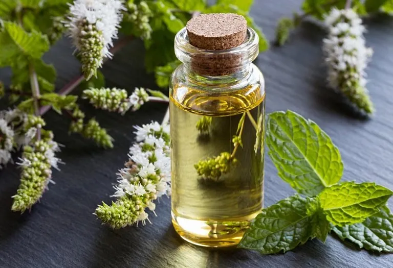 Is Peppermint Oil Safe for Babies?
