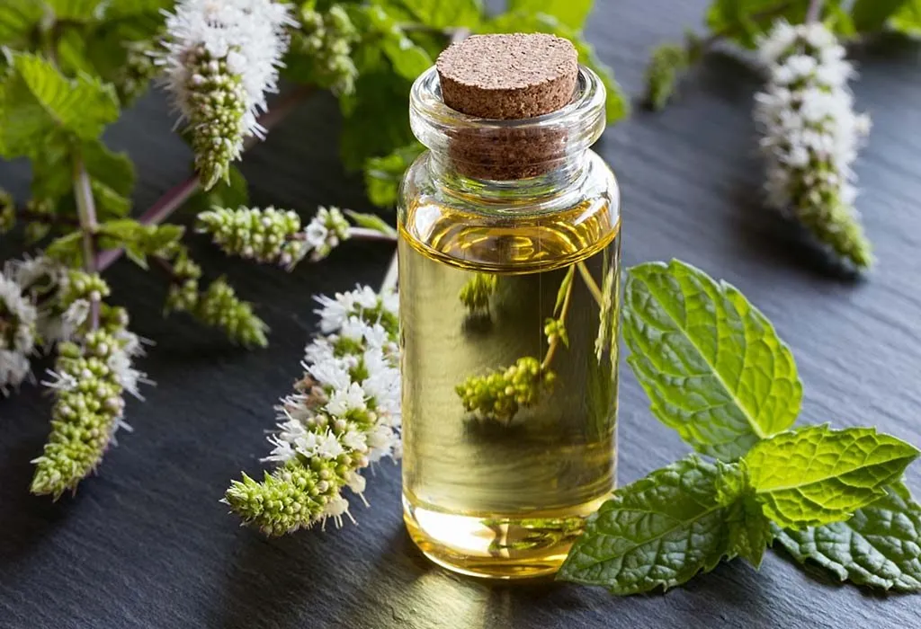 peppermint oil contains omega 3 fatty acids