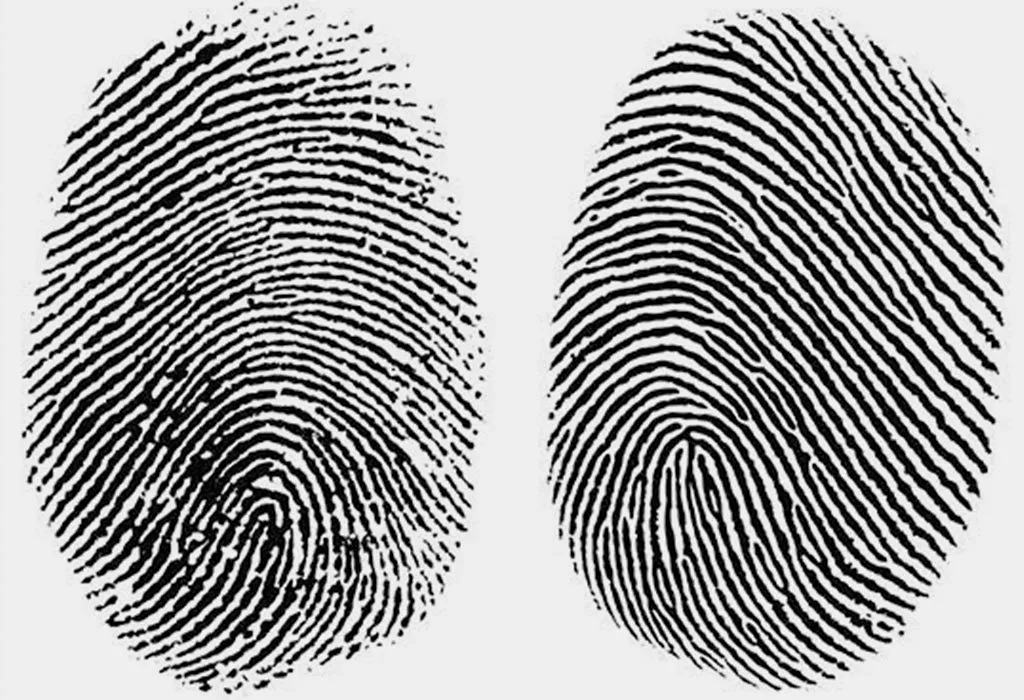 inherited-traits-passing-of-traits-from-parents-to-offspring