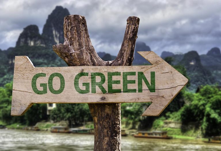 5 Eco-Friendly Habits You Can Follow to Go Green This Winter Season