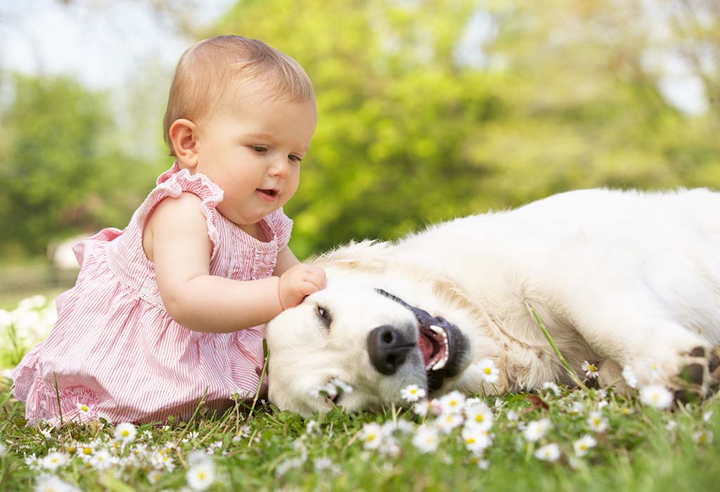 Soziale Entwicklungen eines 38 Wochen alten Babys