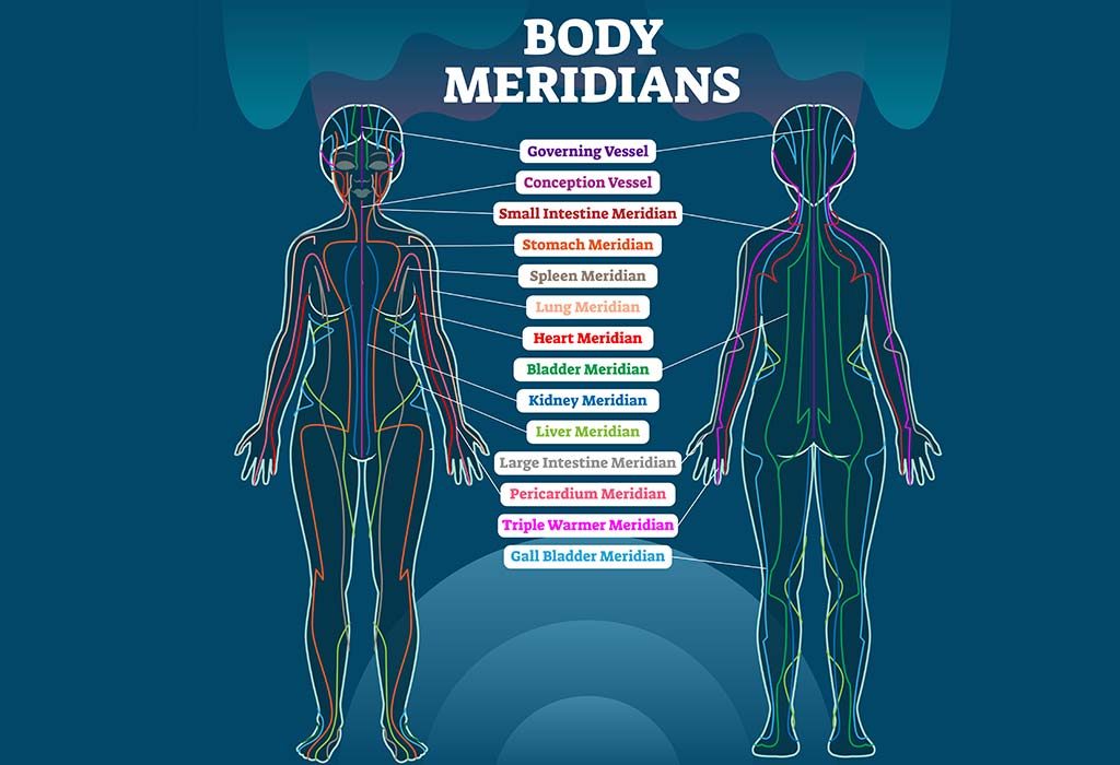 Chiropractor Pressure Points Chart