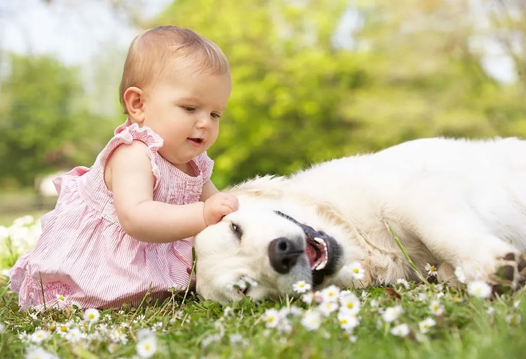 Social Developments&nbsp;of a 38 Week Old Baby