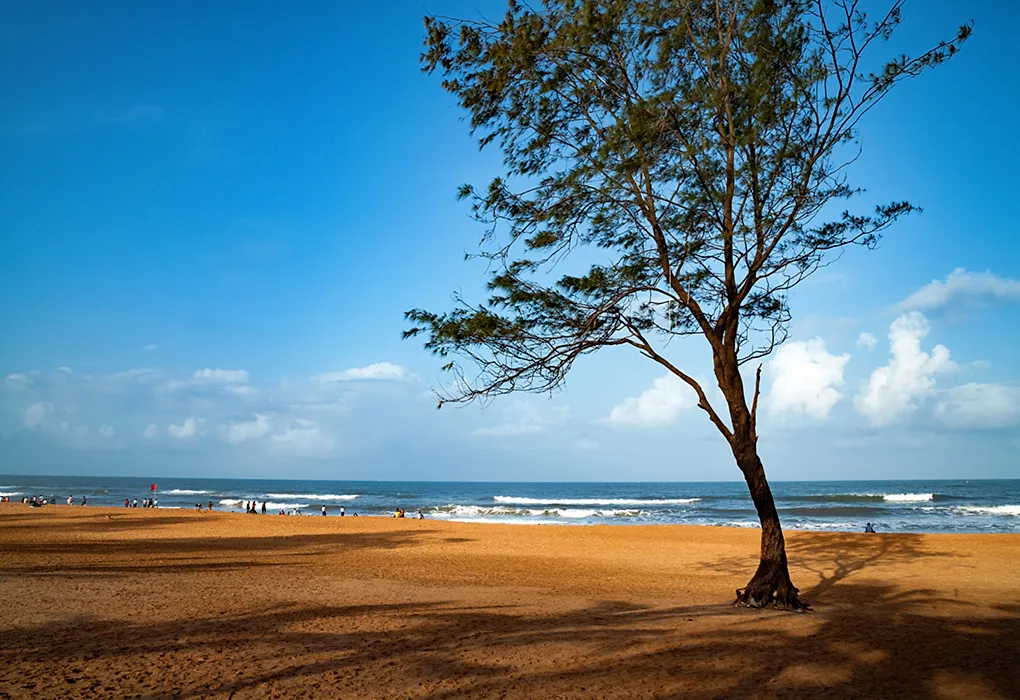 Calangute Beach