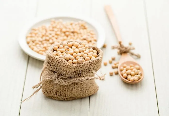 Soya Bean in Pregnancy - Benefits and Risk