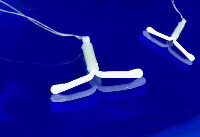 Is It Possible to Get Pregnant With an IUD?
