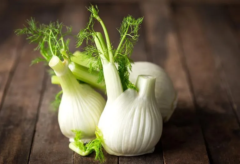 Using Fennel While Breastfeeding - Does it Increase Milk Supply?