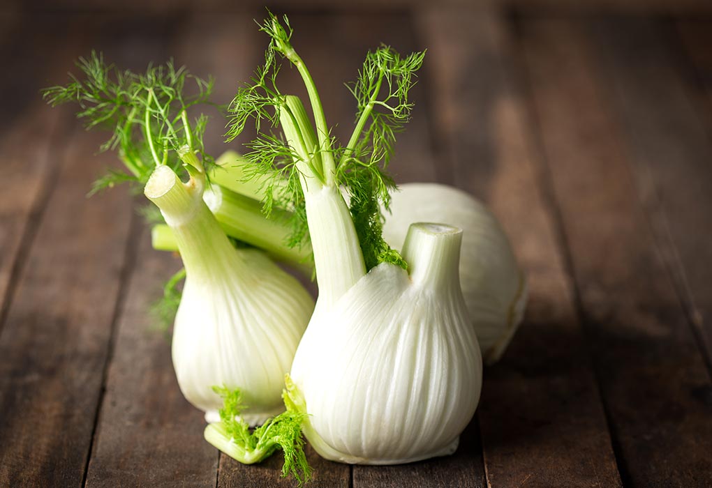 Using Fennel While Breastfeeding – Does it Increase Milk Supply?