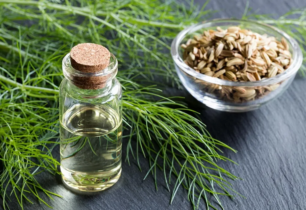 Fennel Oil for Topical Application
