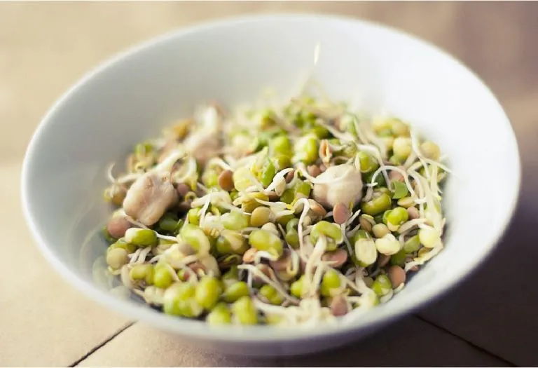 Sprout Chaat
