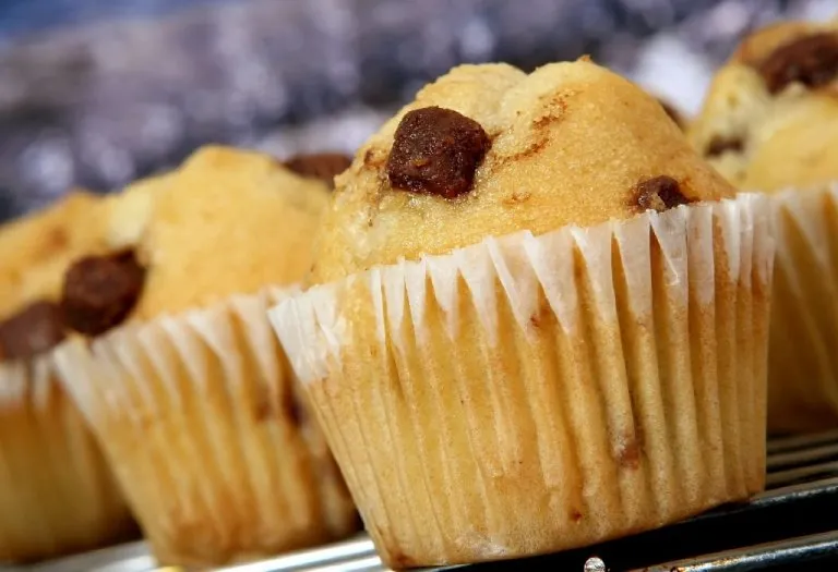 Mango Choco Chunk Muffins