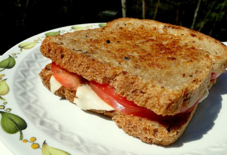 Grilled Veg Panini Sandwich