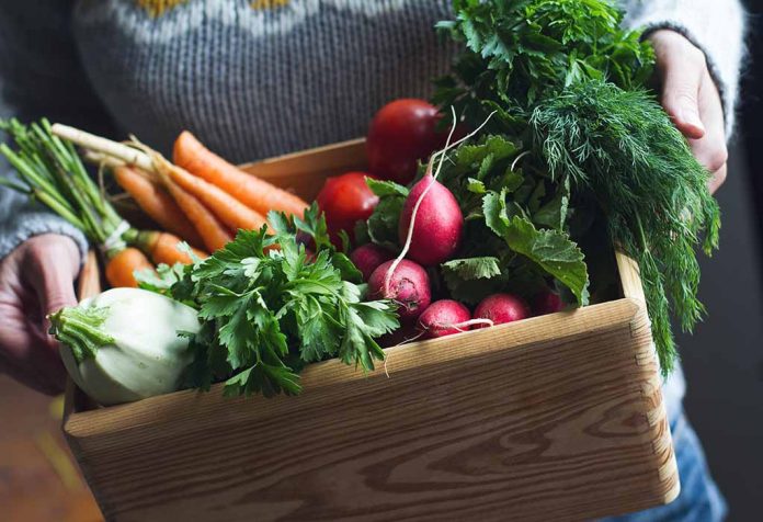 Healthy Vegetables You Should Eat This Winter