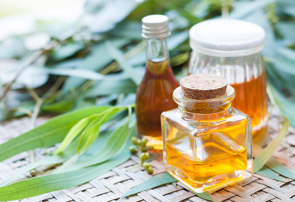 Eucalyptus Oil for Congested Nose and Head-ache