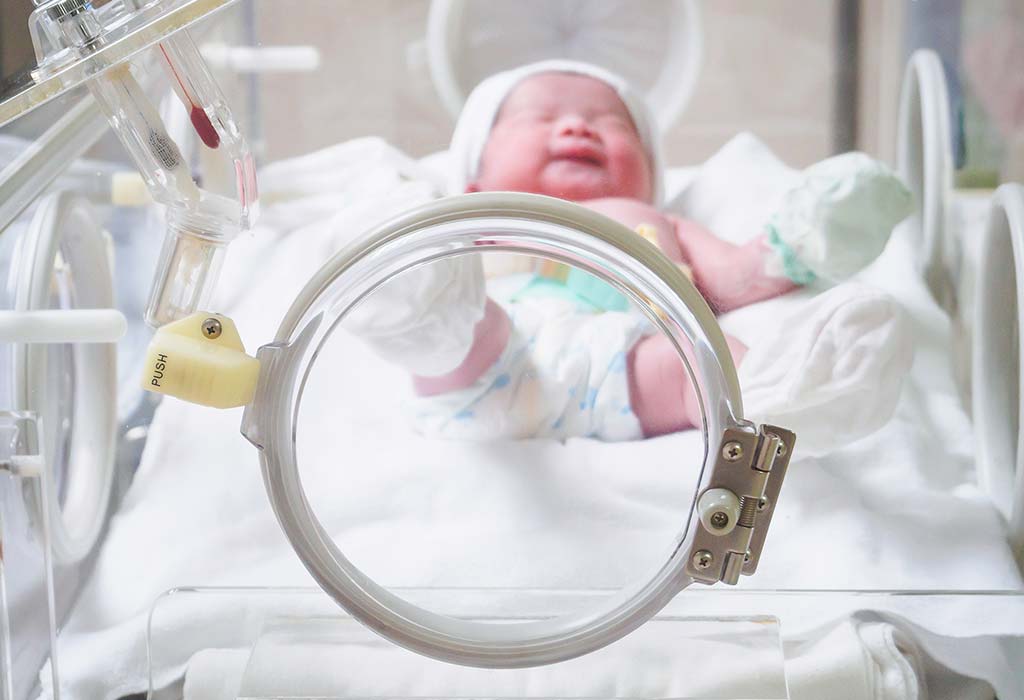 Premature Baby Brain Development - Before & After Birth