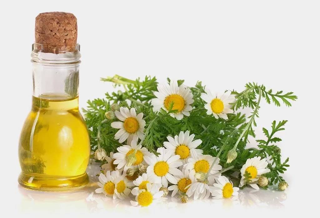 Chamomile herb