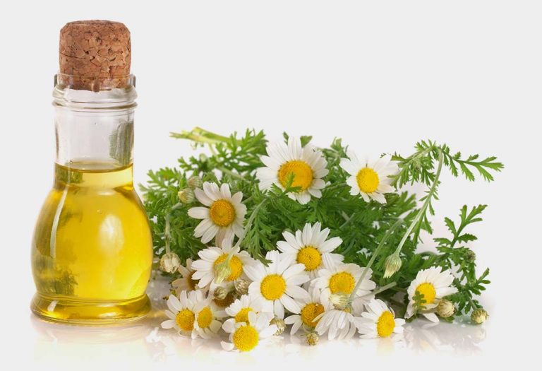 Herbs for Babies & Kids What's Safe & What's Not