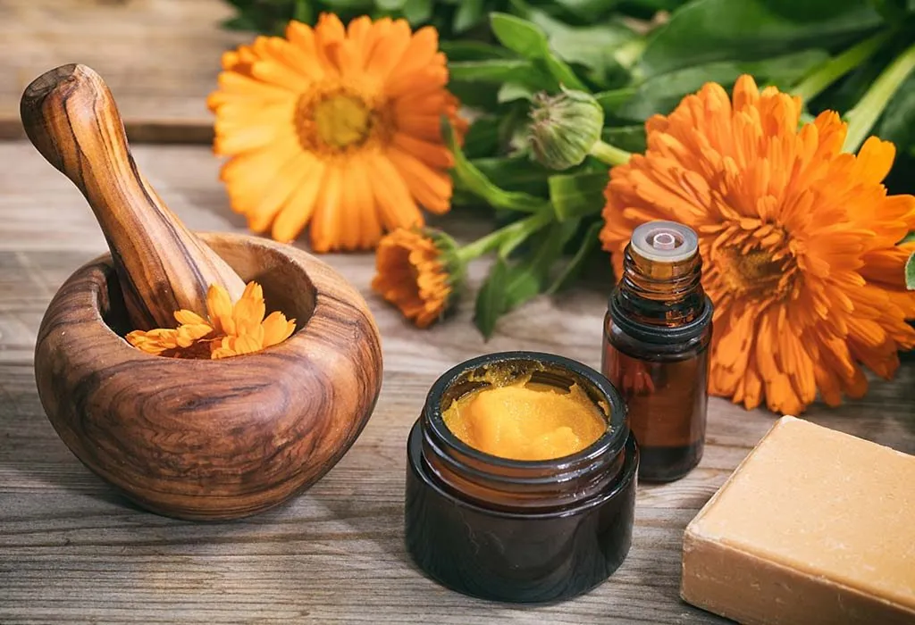 Calendula