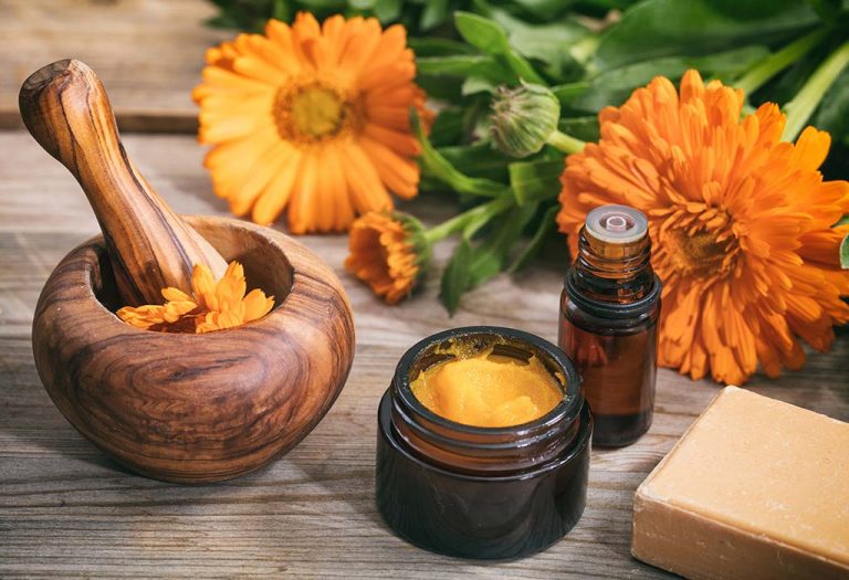 Herbs for Babies & Kids What's Safe & What's Not