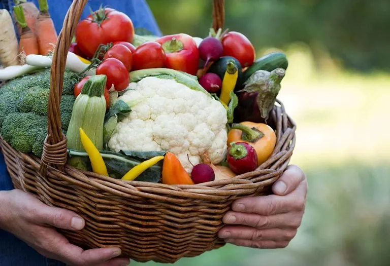 10 Reasons to Switch to Organic Foods Starting January 1st, 2020!