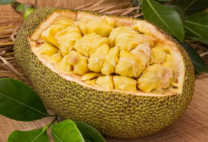is eating jackfruit safe during breastfeeding