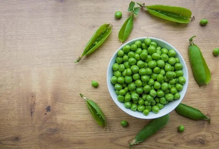 Eating Green Peas During Pregnancy - Benefits & Recipes