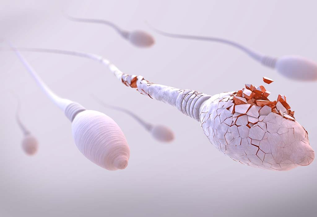 spermicide