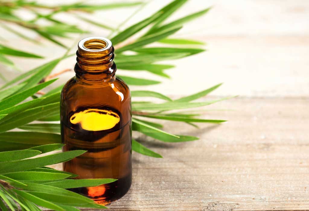 Tea tree oil to get rid of spiders