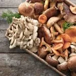 10 Delicious Mushroom Recipes for Kids