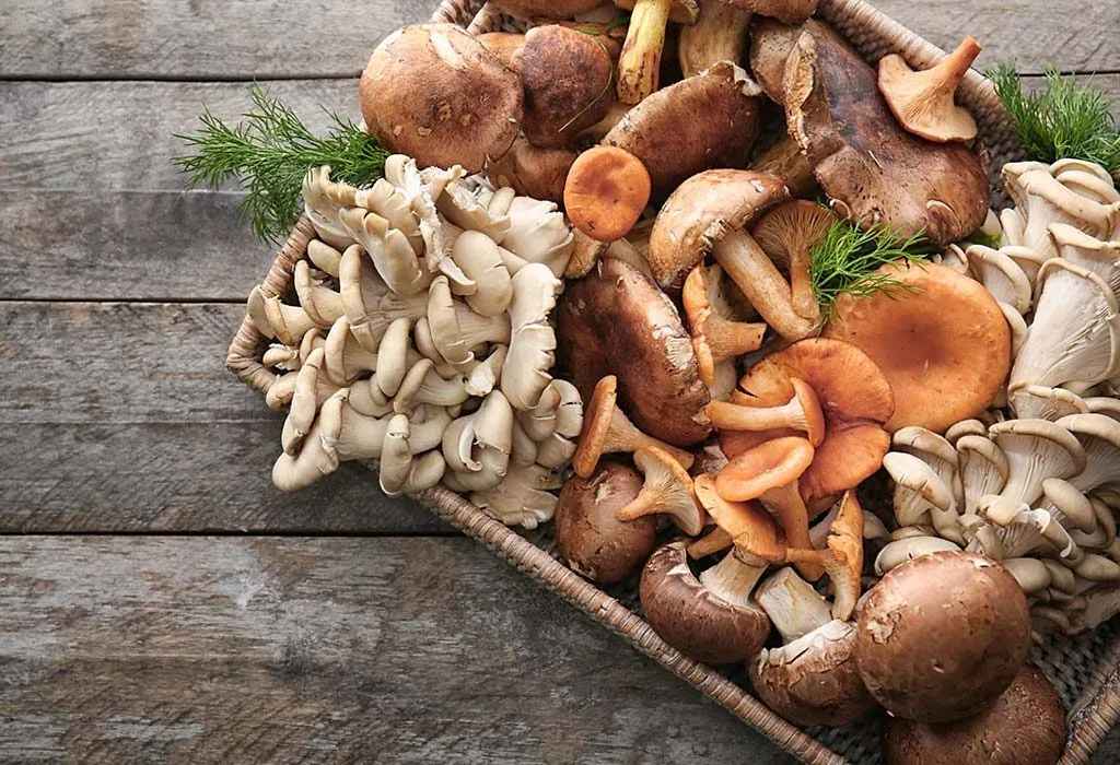10 Healthy & Nutritious Kid Friendly Mushroom Recipes