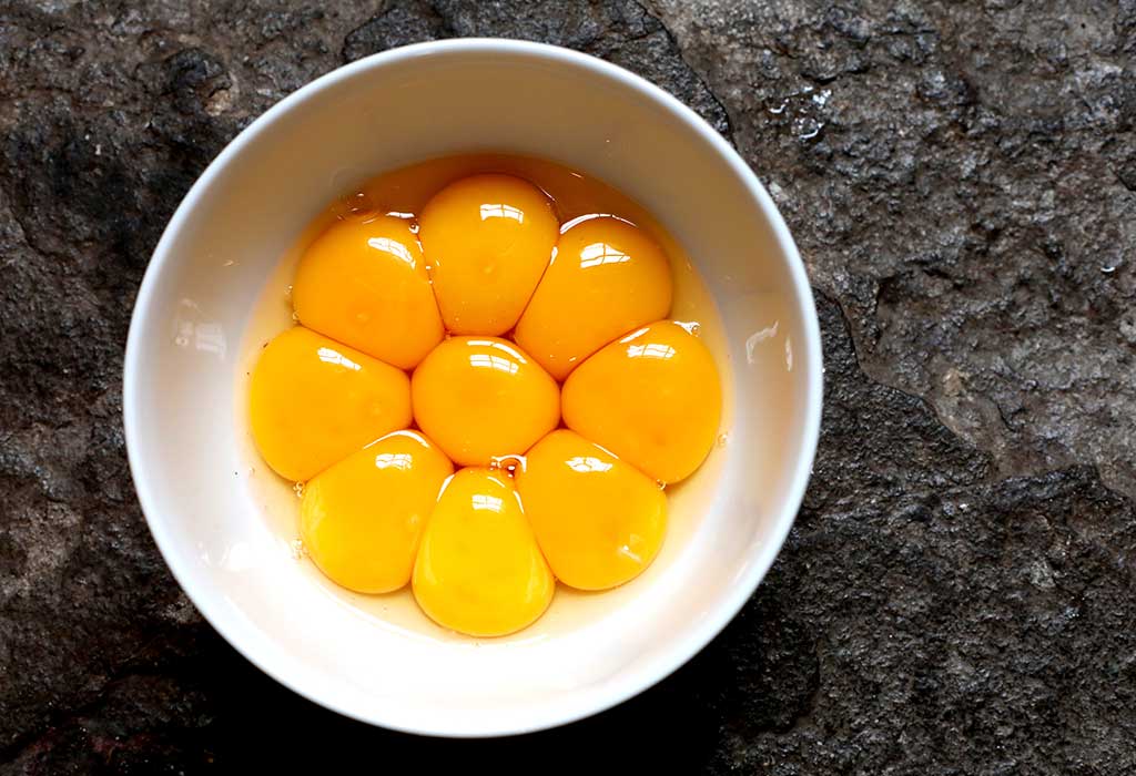 egg yolk