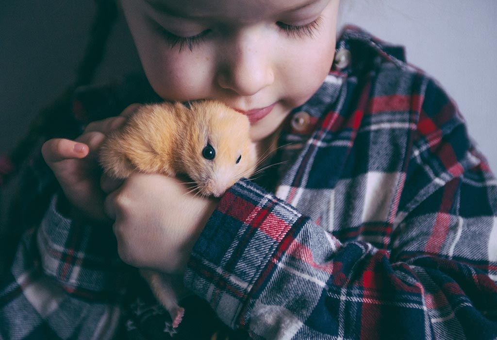 best rodent pet for child