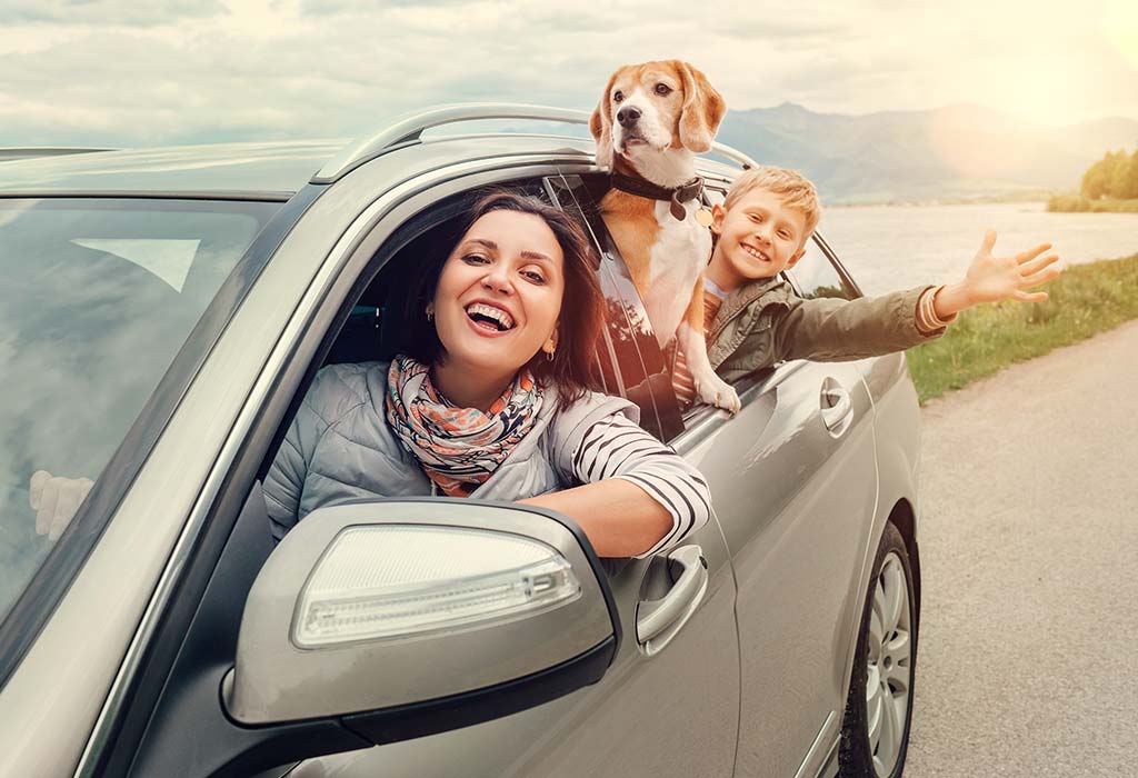 Keep Your Pet Safe And Comfortable On The Road With This Travel