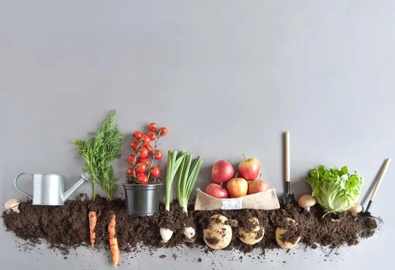 How to Compost - Reduce, Reuse and Recycle the Waste At Home