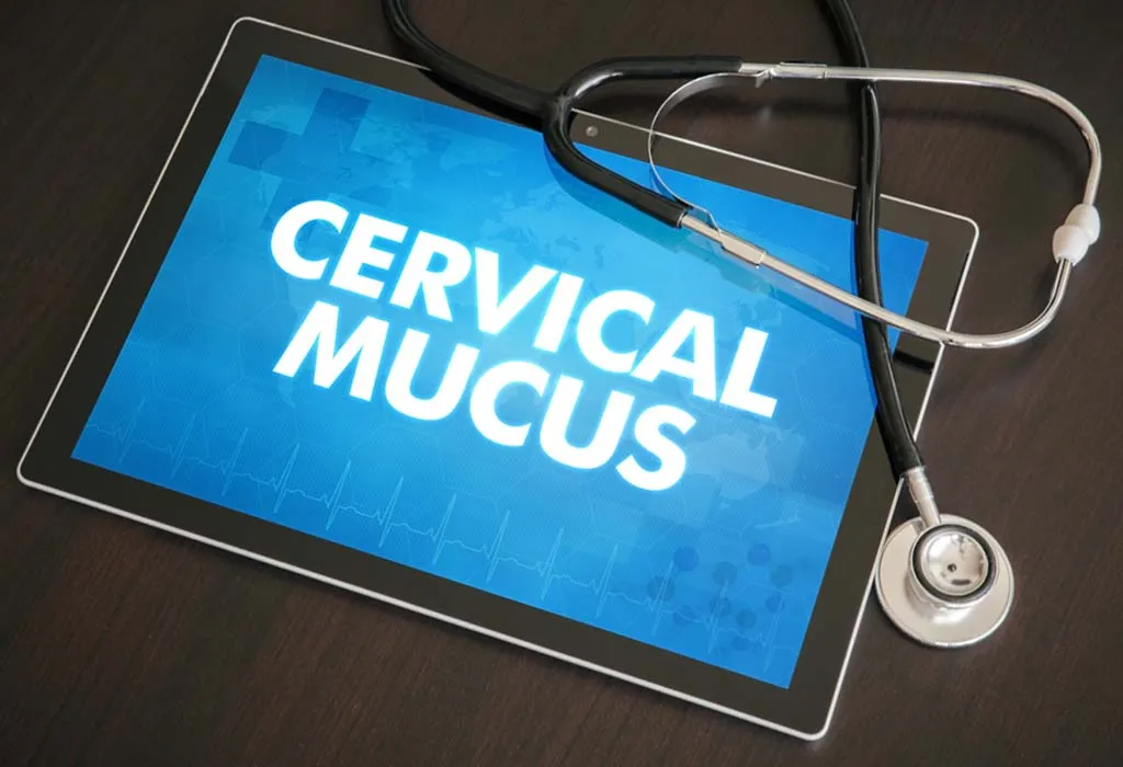 cervical mucus