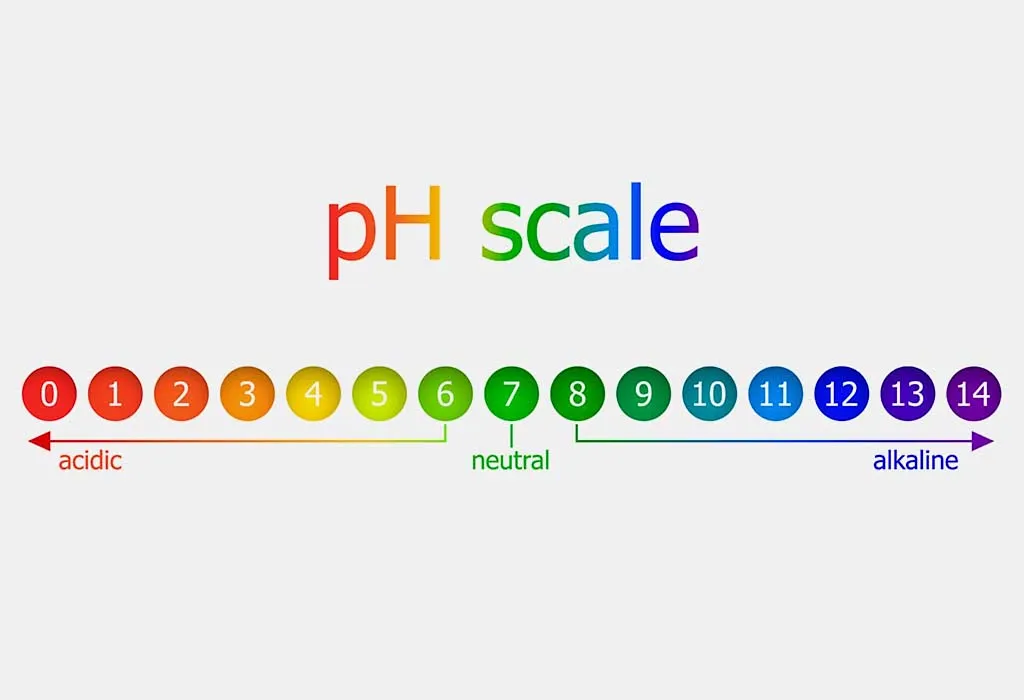 Balances pH Levels