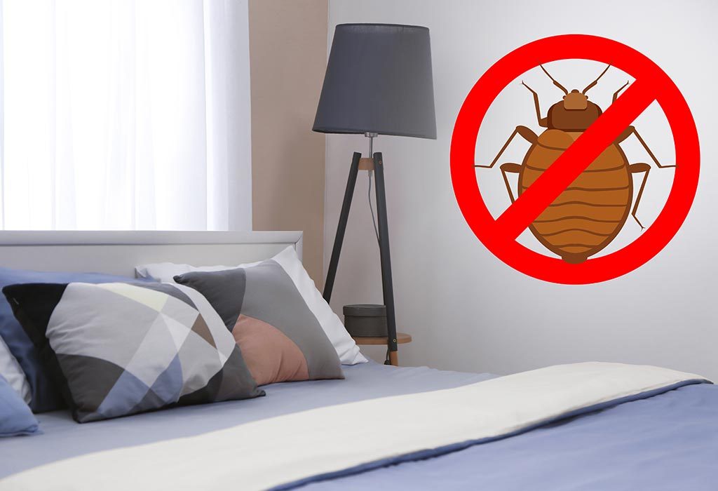 Keeping Bed Bugs Away
