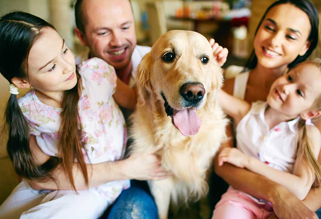 16 Essential Dog Care Tips to Keep Your Pet Healthy, Happy and Safe