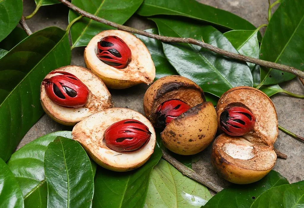 14 Amazing Benefits of Nutmeg for Health, Skin & Hair