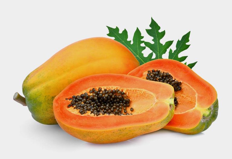 Can Papaya Leaves Fight Dengue?